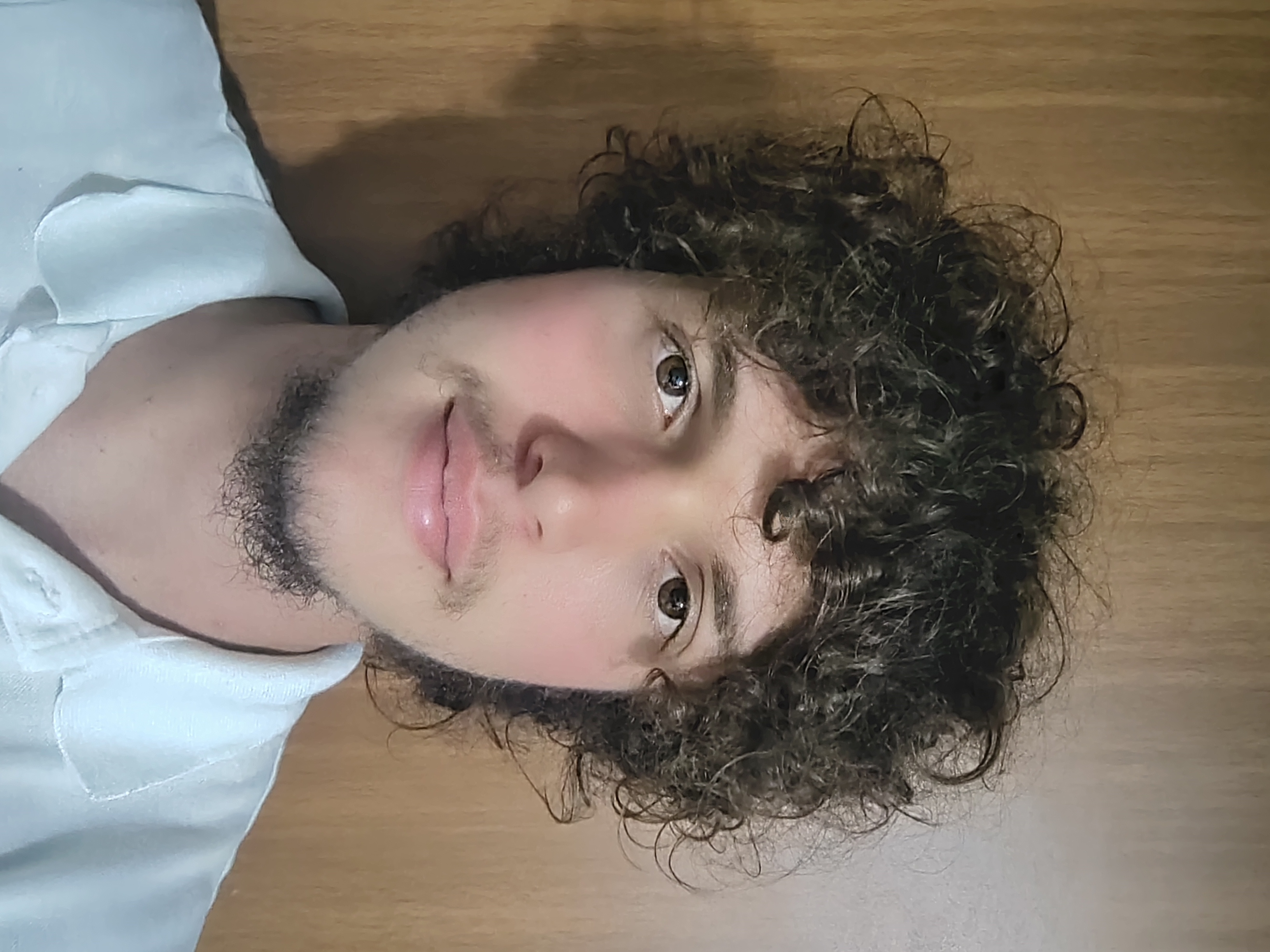 Daniel Barros Meissonier Passini